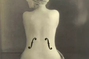 Chambre noire, toile blanche. La photographie face à la peinture