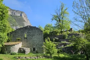 Visites et animations autour du Château de Montfort
