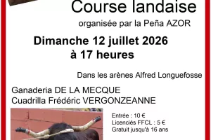 Course landaise