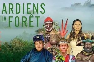 Gardiens de la forêt 2/5 Papouasie, le temps des solutions - documentaire
