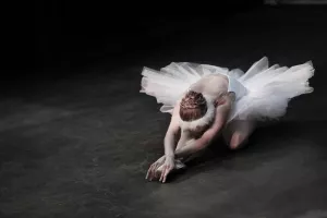 Gala de danse de Sèvres