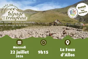 04 - Journée en alpage dans le val d'Allos
