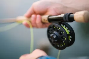 Pêche grosses truites
