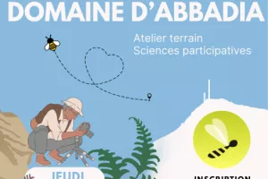 A la découverte des pollinisateurs du domaine d'Abbadia