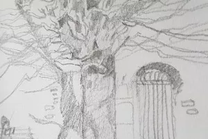 Dessine ton patrimoine !