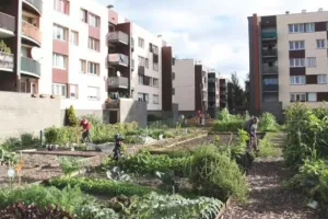 JARDIN PIERRE RAHBI