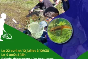 Balade-découverte "Du bon usage des plantes sauvages"  au lac du Tolerme