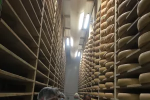 Visite de la Fruitière Les Délices du Plateau