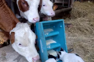 Soirée burger à la ferme de Saint-Juan