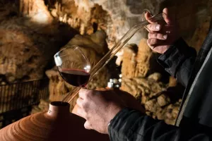 VINOSPÉLÉOLOGIE