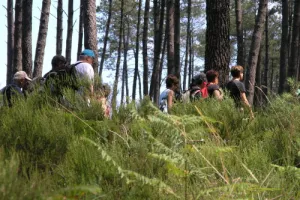 Randonnée pédestre en forêt