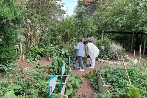 Visite libre du jardin pédagogique de l'Île de la Jatte